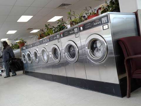 Jobs in Canopy Coin Laundry - reviews