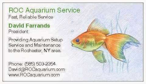 Jobs in ROC Aquarium Service - reviews