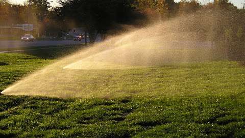 Jobs in flower city irrigation - reviews