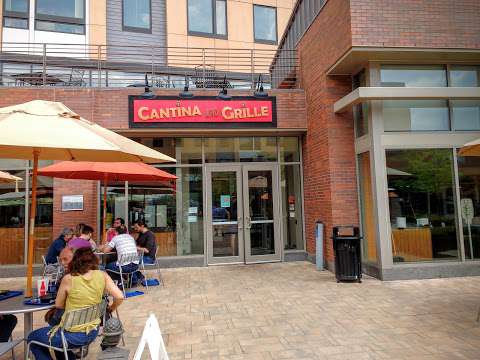Jobs in Cantina & Grille - reviews